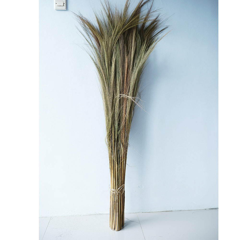 Grass broom Material